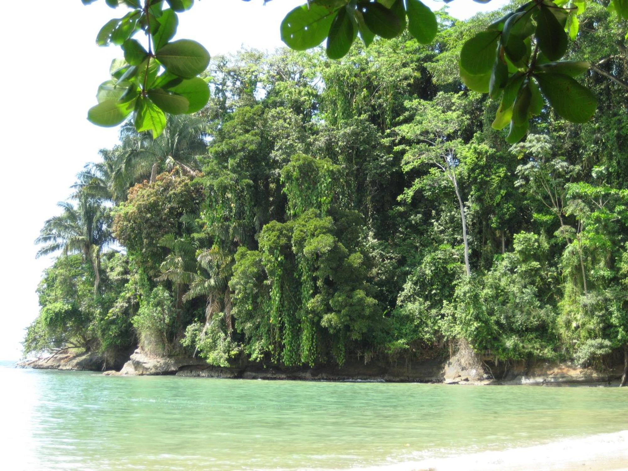 El Tucan Jungle Lodge Puerto Viejo de Talamanca Екстериор снимка