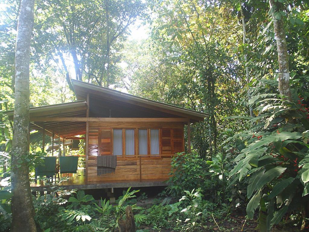 El Tucan Jungle Lodge Puerto Viejo de Talamanca Стая снимка