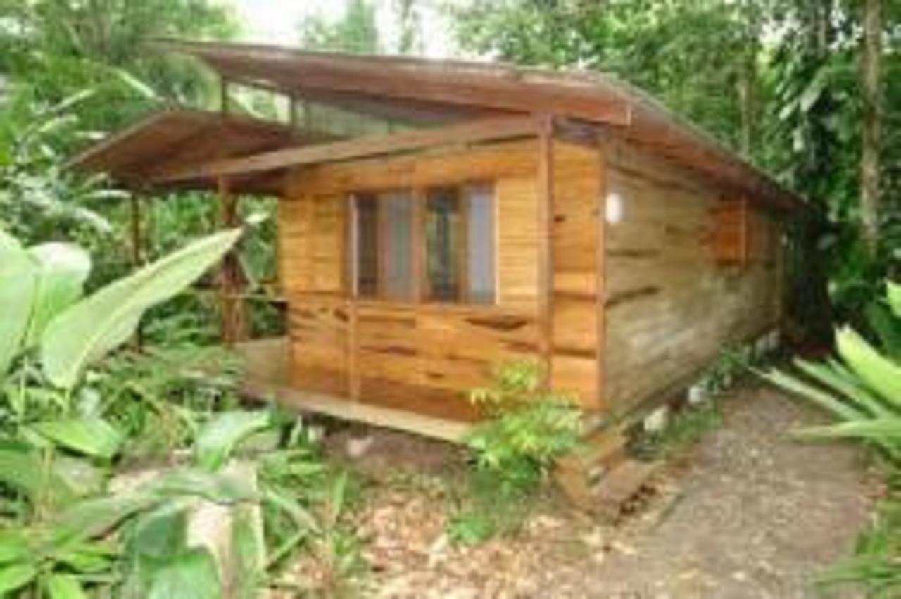 El Tucan Jungle Lodge Puerto Viejo de Talamanca Екстериор снимка
