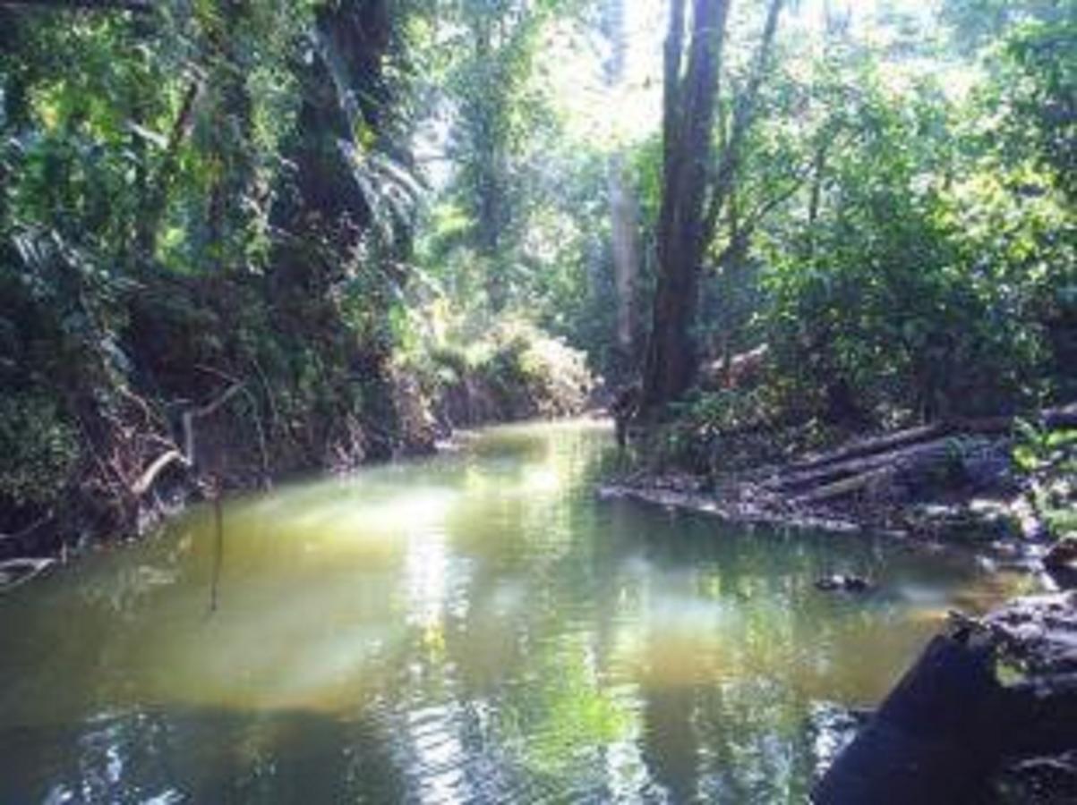 El Tucan Jungle Lodge Puerto Viejo de Talamanca Екстериор снимка